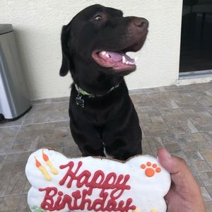 Meet your Posher, Juan